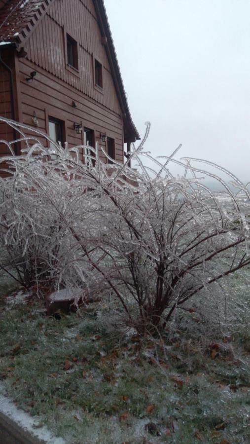 Widokowa Osada * Międzylesie